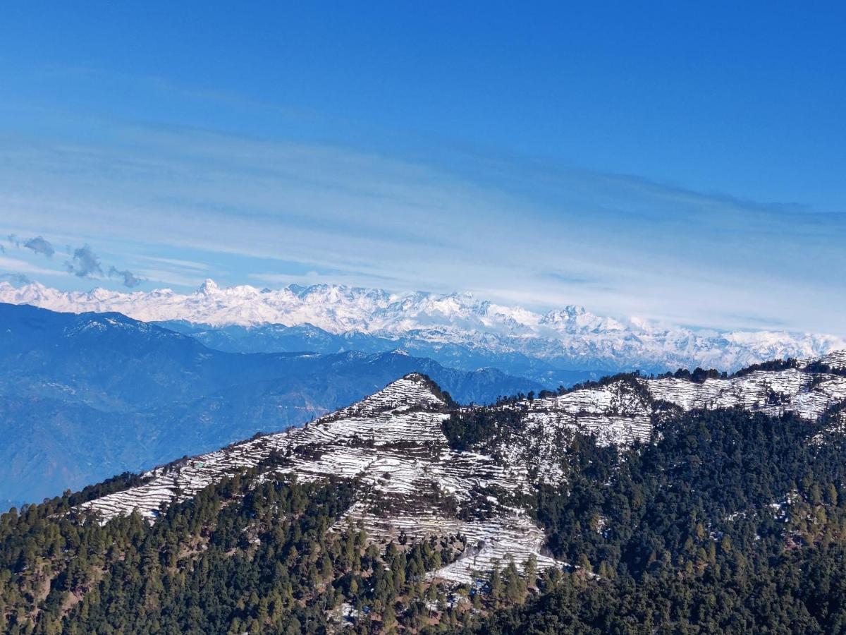 Shiva Valley Resort Kokhliyal Gaon Dış mekan fotoğraf