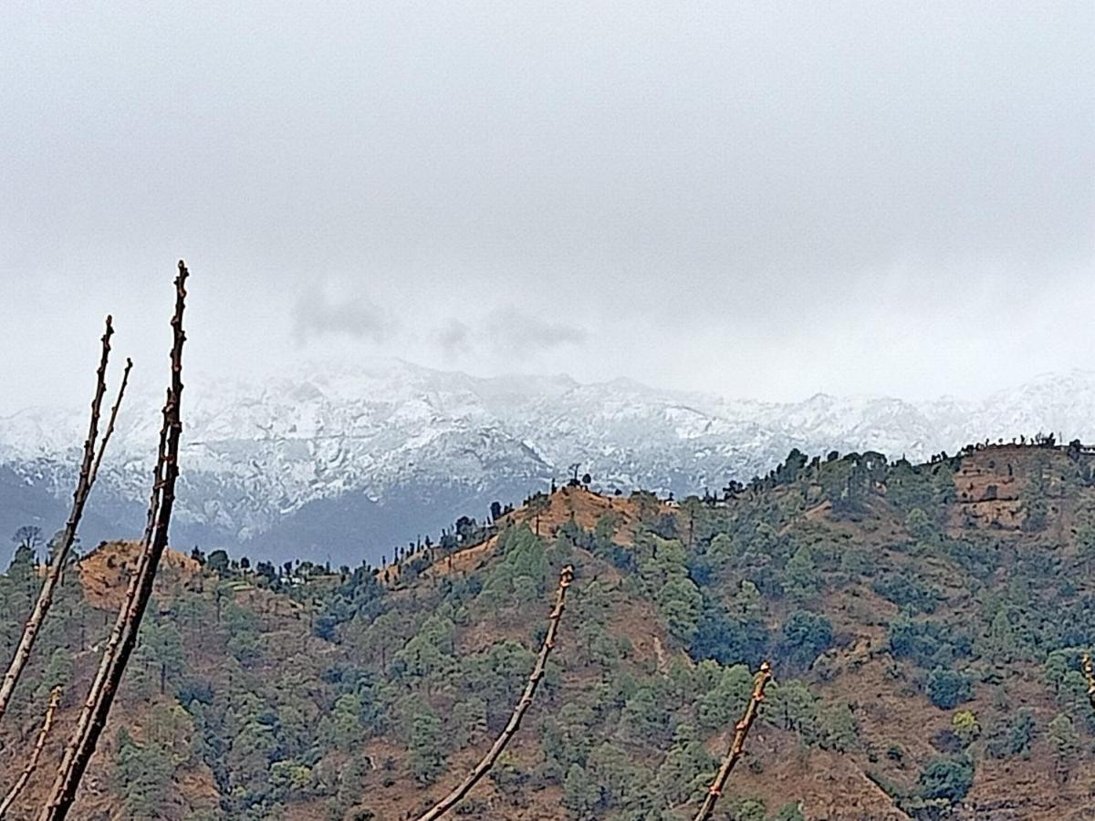 Shiva Valley Resort Kokhliyal Gaon Dış mekan fotoğraf
