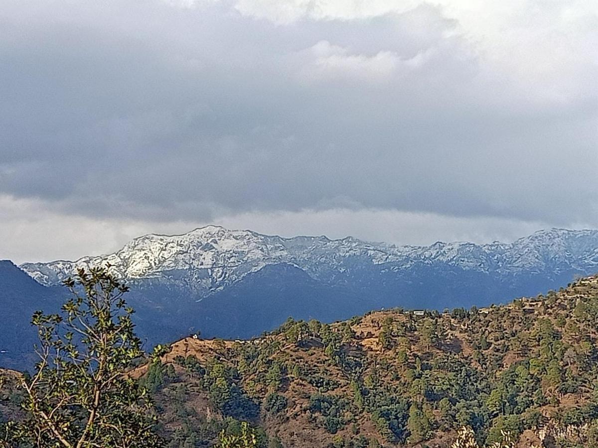 Shiva Valley Resort Kokhliyal Gaon Dış mekan fotoğraf