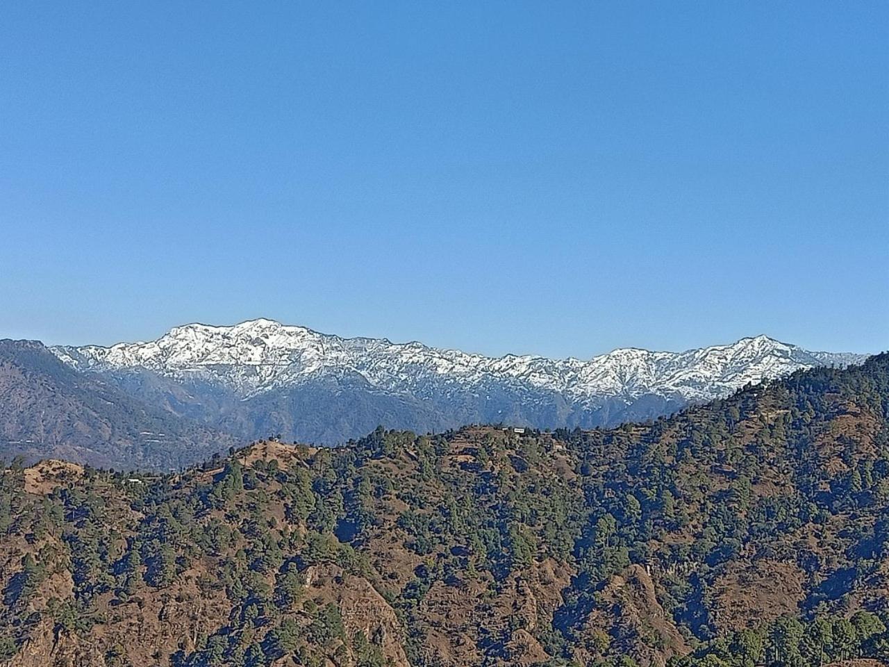 Shiva Valley Resort Kokhliyal Gaon Dış mekan fotoğraf