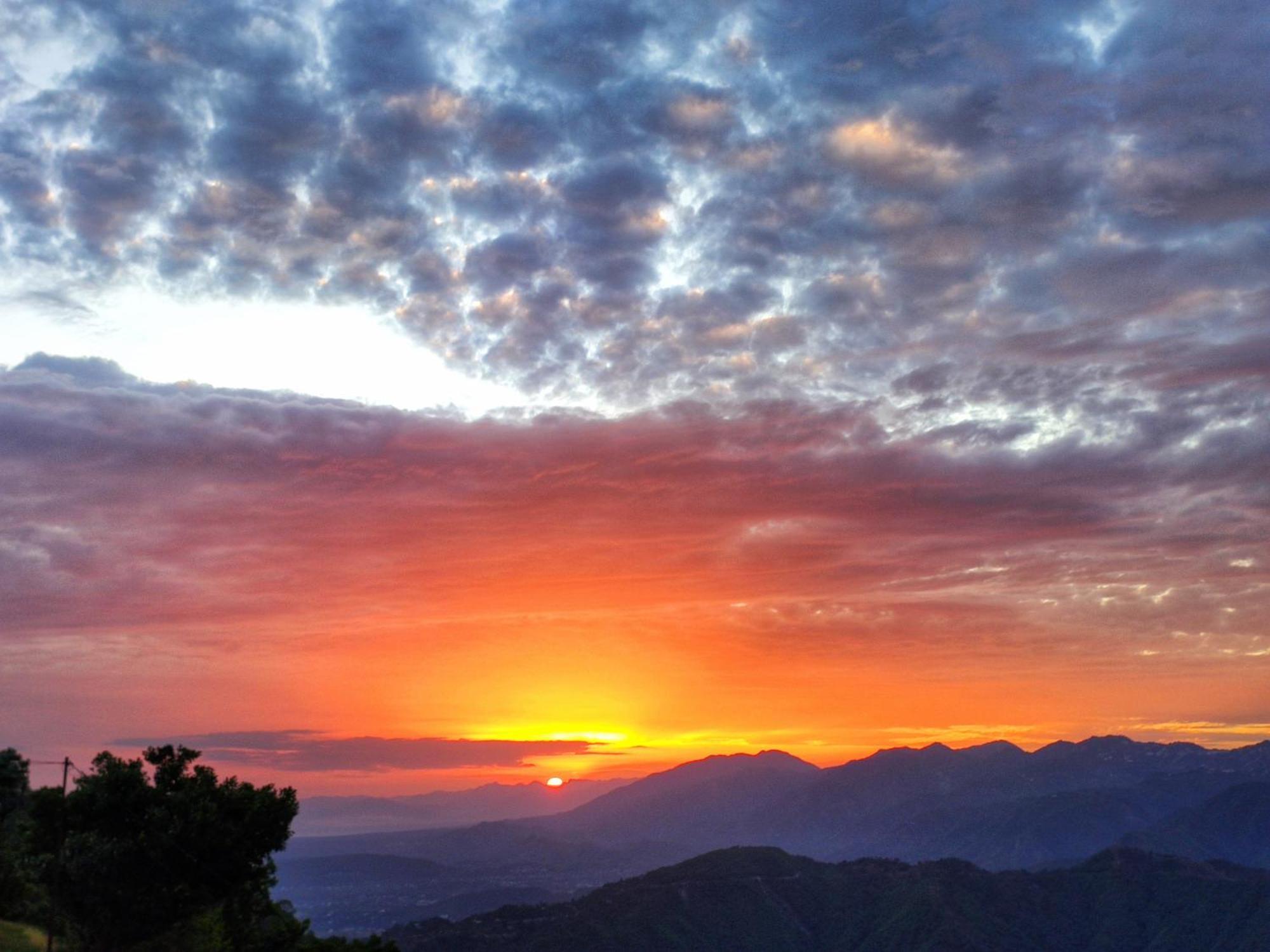Shiva Valley Resort Kokhliyal Gaon Dış mekan fotoğraf